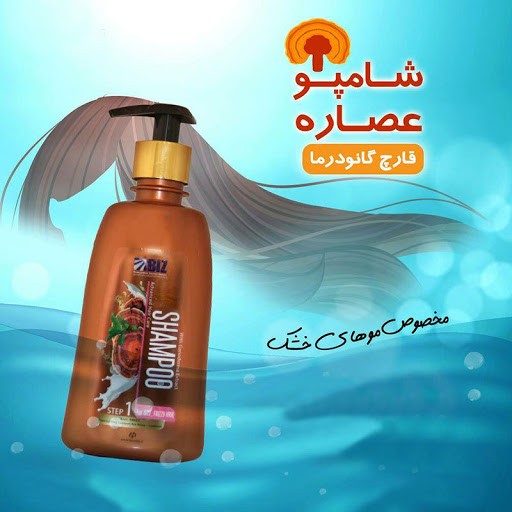 شامپو عصاره قارچ گانودرما مخصوص موهای خشک 🍄✨