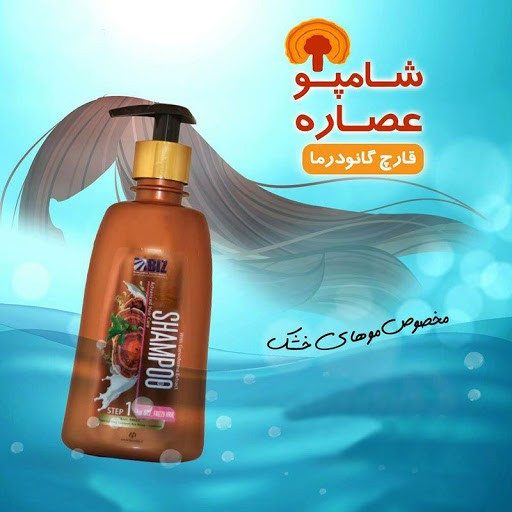 شامپو عصاره قارچ گانودرما مخصوص موهای خشک 🍄✨